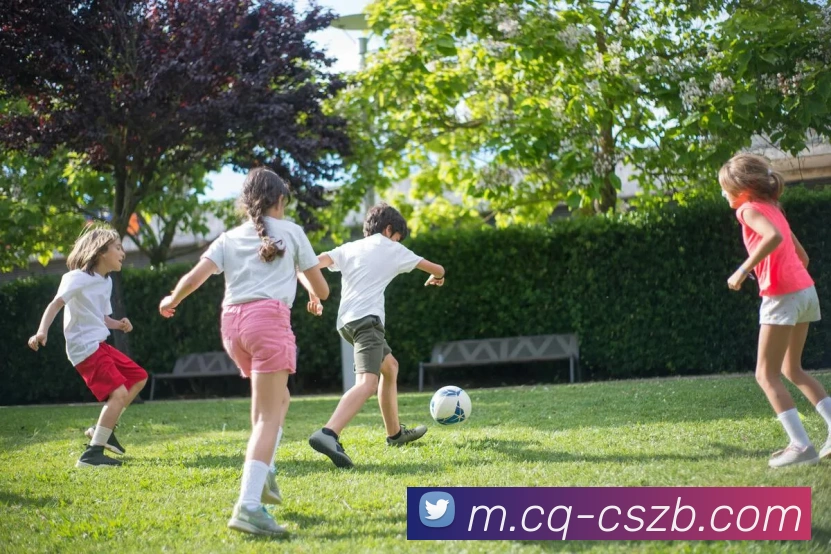 彩神争霸发展历程